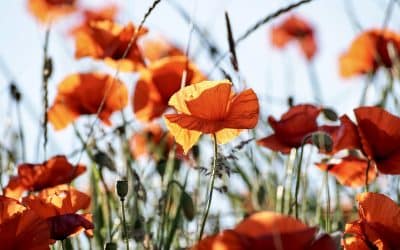 Peur de grossir : Souffrez-vous d’un trouble alimentaire?