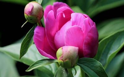 6 conseils à suivre pour renouer avec votre beauté intérieure