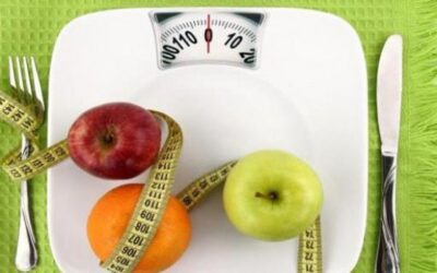 Les multiples visages des régimes